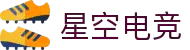 星空电竞(StarSky Sports)官网-华语电竞行业引领者